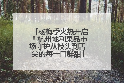杨梅季火热开启！杭州地利果品市场守护从枝头到舌尖的每一口鲜甜